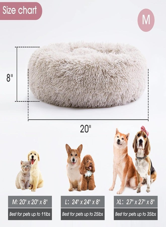 D&C PAWS سرير D&C PAWS المهدئ للكلاب والقطط، سرير دائري ناعم ومريح مضاد للقلق مع فرو صناعي رقيق، وسادة مخملية للكلاب والقطط الصغيرة والمتوسطة (أبيض كاكي-20) - Image 5